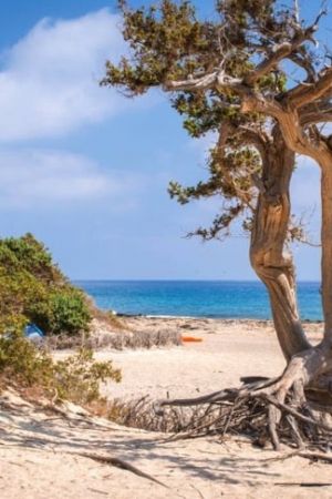 Chrissi island