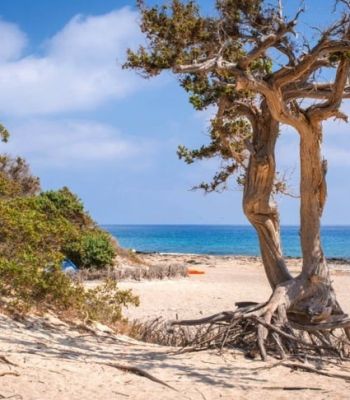 Chrissi island
